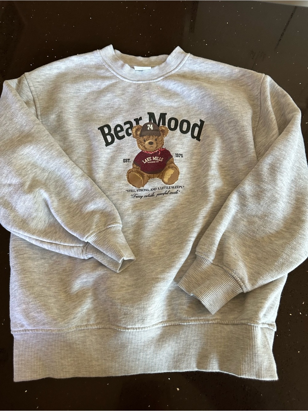 Zara Gray Crewneck Sweatshirt with Bear Graphic
